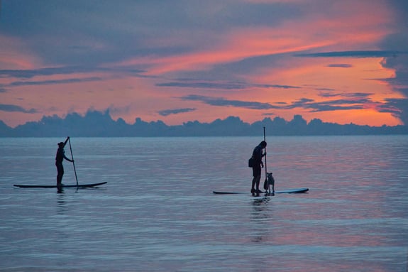 standup-paddleboarding-6570168_1920